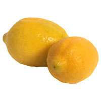 Sweet Lemon