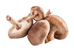Shiitake Mushrooms