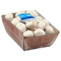 Signature Farms Mushrooms White Whole - 16 Oz