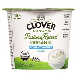 Clover Org Yogurt Lf Plain - 6 Oz