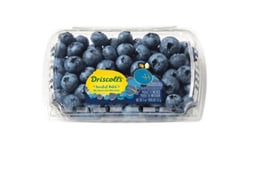 Driscolls Sweetest Batch Blueberries Limited Edition  - 11 Oz