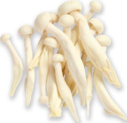 Mushrooms White Shemeji - 5.29 Oz