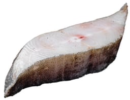 Halibut Portion Fresh 6 Oz - EA