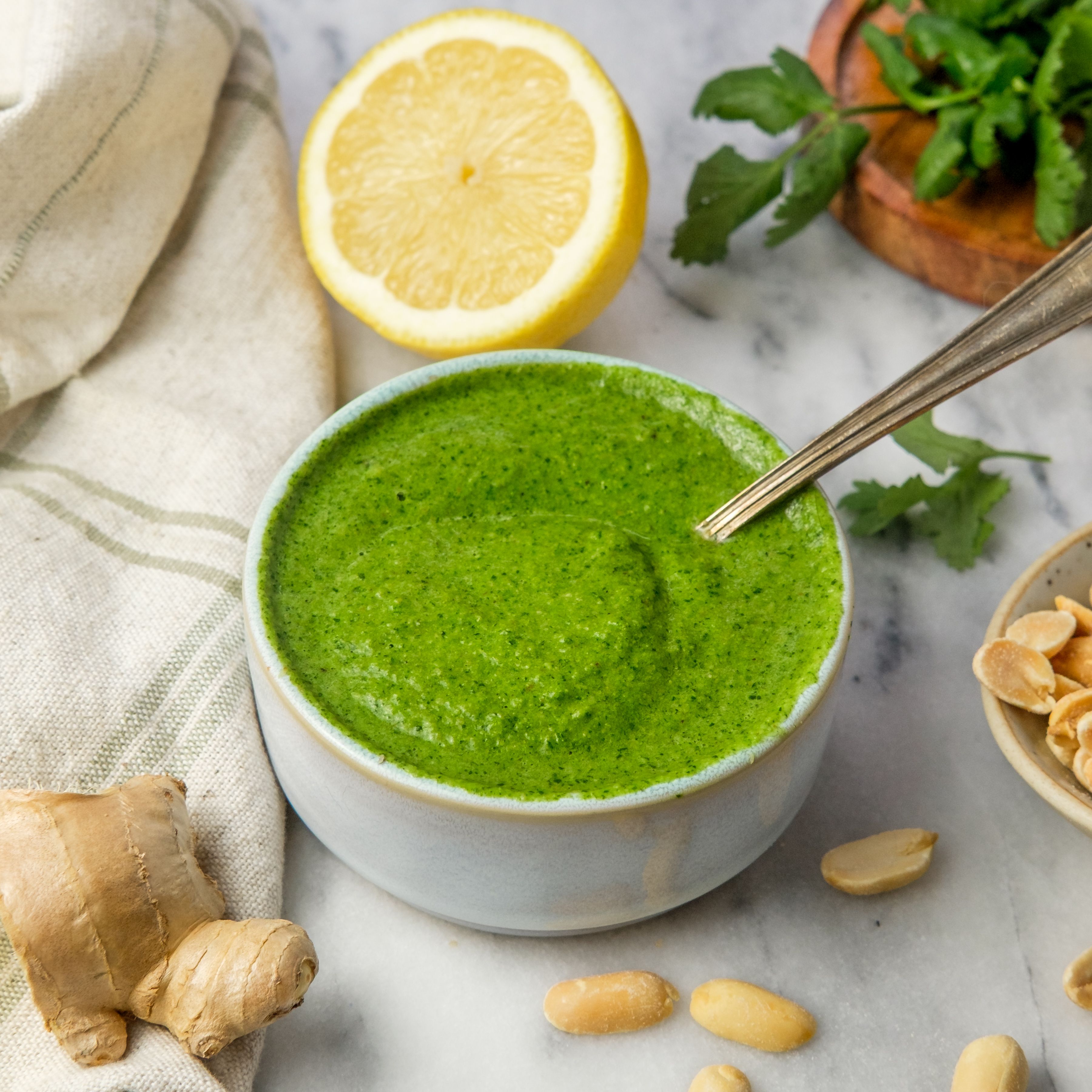 Cilantro Chutney