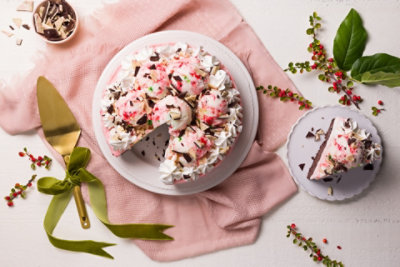 Chocolate Peppermint Ice Cream Cake Safeway